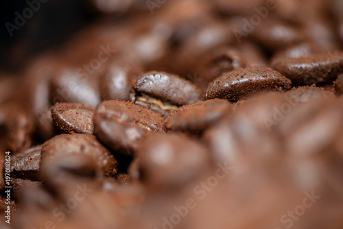 Roasted coffee beans macro background with shallow depth of field
