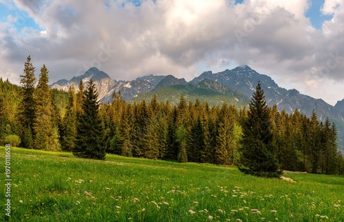 Beautiful mountain landscape in High Tatras from Javorova valley on Slovakia Poland border. Green meadow, forest and rocky peaks under cloudy sky create perfect nature scenery.