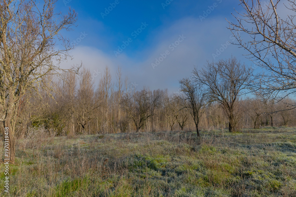 Fototapeta premium A cold morning in Galicia