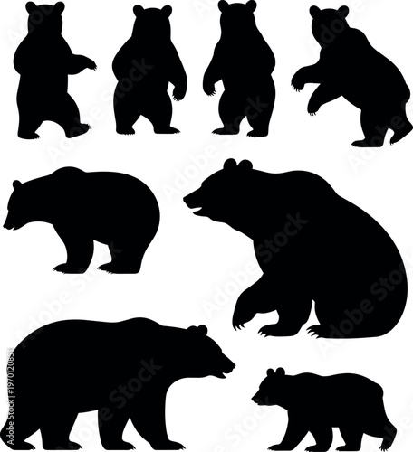 Photos Set of bear silhouettes in various poses including standing, walking, sitting an