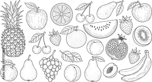 Fruit Sketch Collection Vector Set with Pineapple, Apple, Pear, Banana, Orange, Strawberry, Kiwi, Pomegranate, and More, Black and White Illustrations