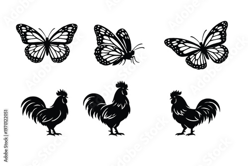 Collection of butterflies