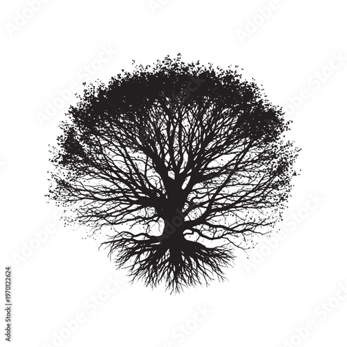 Black and white hand drawn christmas tree with star topper holiday festive
