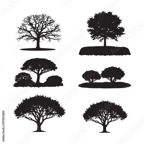 Black and white of trees with dense foliage and trunks dense leaves