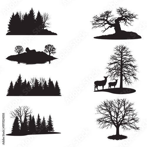 Black and white of various coniferous trees and bushes pine trees fir trees spruce trees