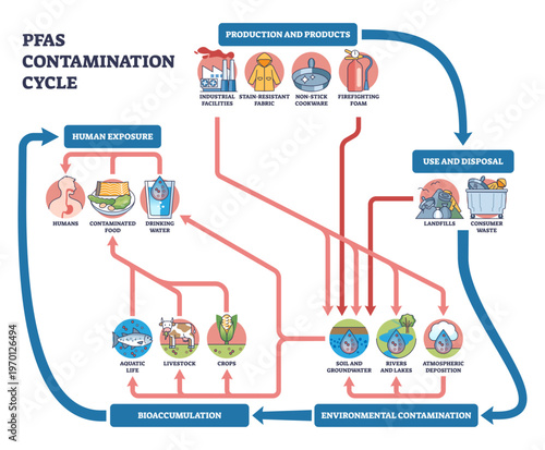 PFAS contamination cycle shows how products and waste pollute soil, rivers and groundwater, bioaccumulating to humans via drinking water and food, objects, factory, landfill, arrows.