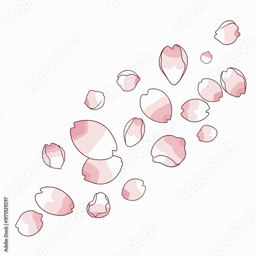 Delicate pink cherry blossom petals gracefully falling on a clean white background.
