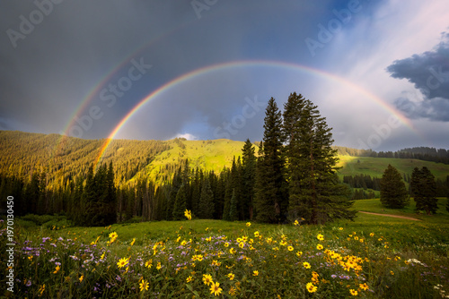 Wildflower Double Rainbow