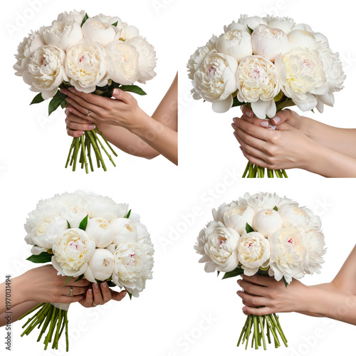 Hands holding white peony bouquets