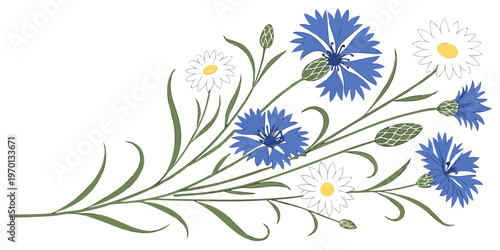 Wildflower bouquet with cornflowers and white daisies, vector