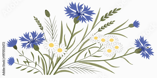 Blue cornflowers and white daisies wildflower bouquet, vector
