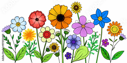 Colorful collection of various blooming garden wildflowers, vector