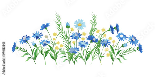 Wildflower border with blue cornflowers and green leaves, vector