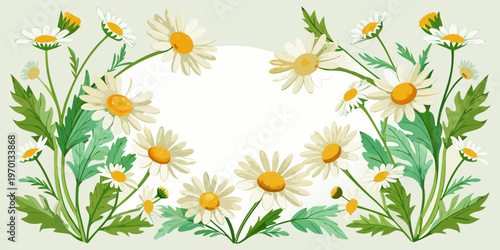 Daisy flower border with white copy space, vector
