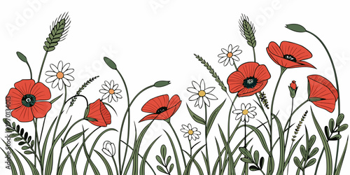 Summer wildflowers with red poppies and white daisies, vector