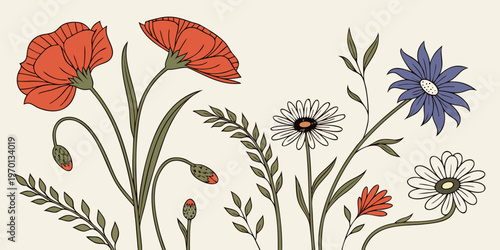 Variety of colorful meadow wildflowers and poppies illustration, vector