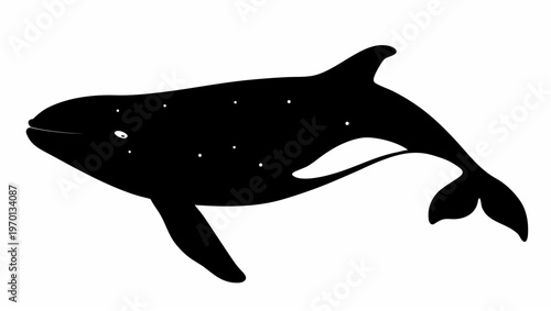 Majestic whale silhouette swimming through starry night sky with celestial backdrop