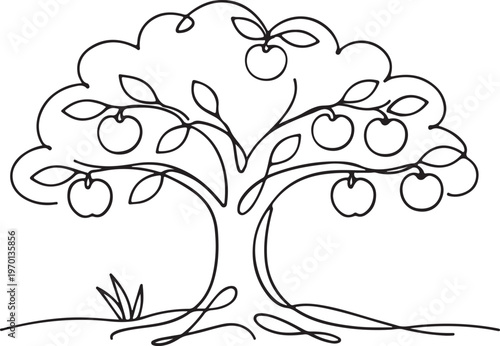 Apple tree line drawing with fruit harvest nature and organic farming concept in minimalist style