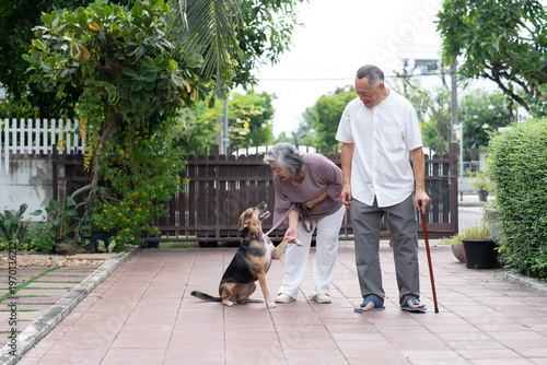 Two older adults enjoy a peaceful walk with their dog in a lush, suburban outdoor setting. The scene reflects active aging, pet companionship, emotional bonding, and a mindful lifestyle surrounded