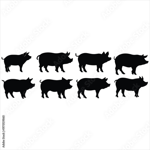 Domestic pig vector graphics in different standing positions, isolated on a white background for easy design use.