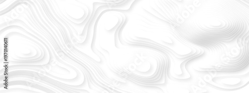 white topography map geography relief diagram texture design. Topography white background and black line world map texture design. Lines Topographic contour lines grid map seamless pattern.