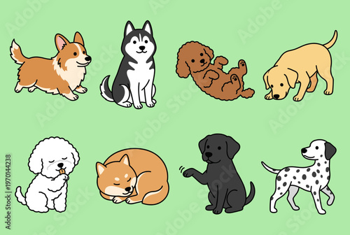 Diverse Dog Breeds Collection with Different Poses and Activities, Corgi, Husky, Poodle, Labrador, Shiba Inu, and Dalmatian Vector Illustrations Set