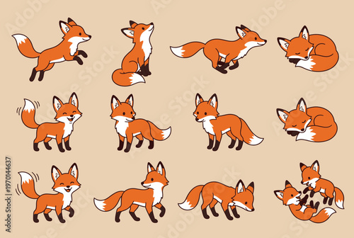 Cute Fox Character Poses and Activities Collection for Forest Wildlife and Nature Illustration Set with Jumping Running and Sleeping Foxes