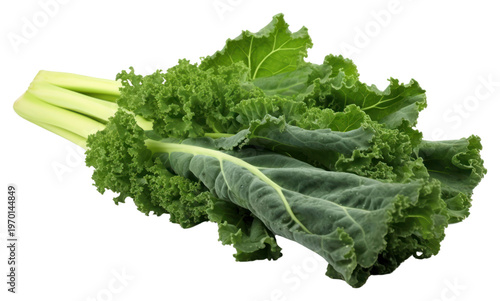 PNG Fresh Kale kale vegetable plant.