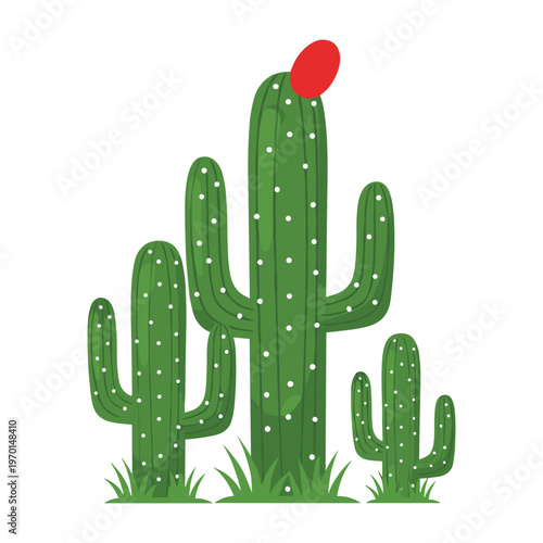Three green saguaro cacti of different sizes with a red flower on the tallest one in grass.