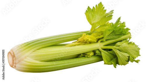 Canvas-taulu Fresh green celery stalk, displaying crisp texture and vibrant leaves