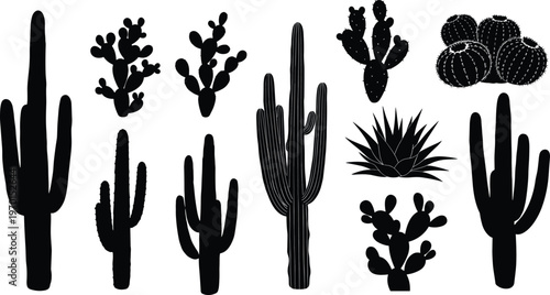 Black silhouette vector illustration of diverse cactus and succulent plants including saguaro, barrel, prickly pear, and agave on white background