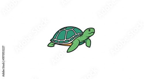A cute baby green turtle with a protective shell is a slow wild reptile isolated on a white background, representing a beautiful pet and wildlife animal in nature