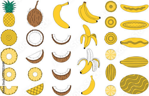 Assorted tropical fruits and banana bunches vector