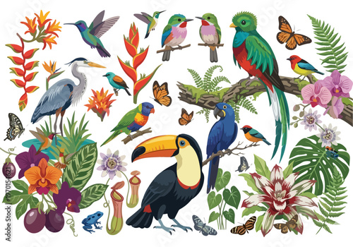 Vector collection of tropical birds including toucan, macaw, quetzal, and heron with exotic flowers, palm leaves, and butterflies isolated on white background.