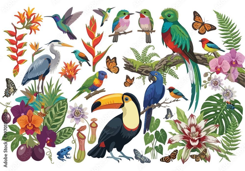 Naklejka premium Vector collection of tropical birds including toucan, macaw, quetzal, and heron with exotic flowers, palm leaves, and butterflies isolated on white background.