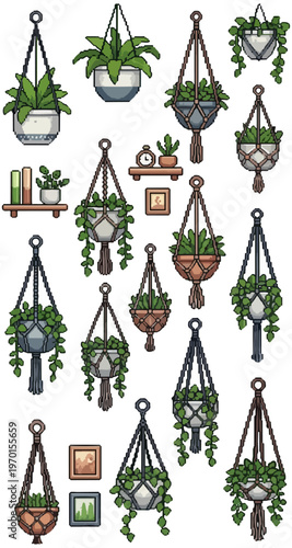 Hanging planters collection with greenery on black background