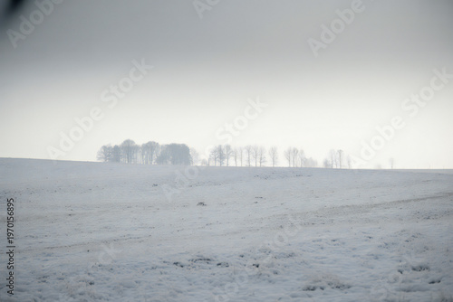 Winter landscape with distant trees and snowy field