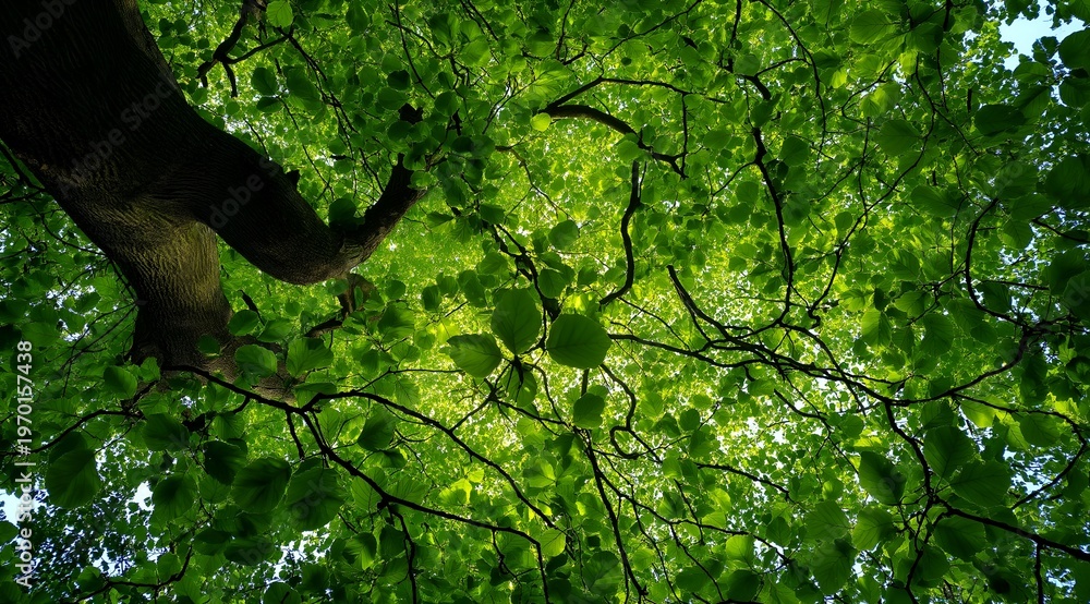 Fototapeta premium A vibrant view of lush green leaves and branches, capturing the essence of nature and tranquility.