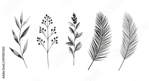Collection of grayscale botanical elements: leaves and berries, watercolor style vector illustration