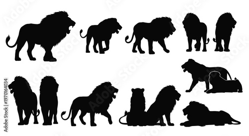 Multiple lion silhouettes in various poses displaying majestic animal forms