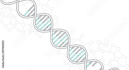 DNA double helix molecular structure illustration.