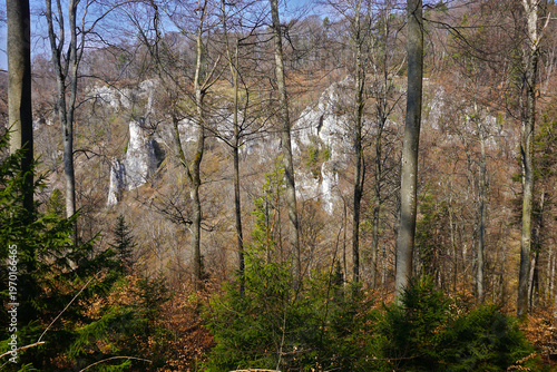 Felsen im Schmeietal im Naturpark Obere Donau