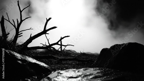 Black and white desolate landscape with twisted branches and vaporous clouds, cinematic scene
