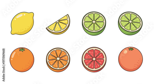Collection of colorful citrus fruits, whole and sliced, in a simple cartoon style
