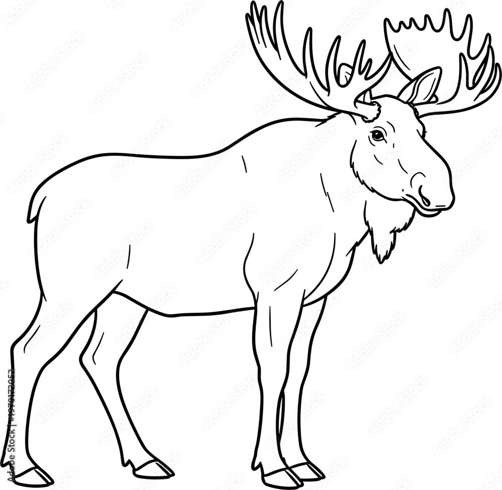 Fototapeta premium Standing Moose with Antlers, Outline Drawing, Vector Art