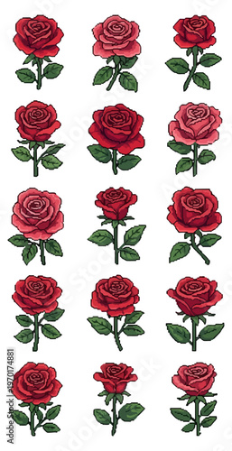 Red rose floral arrangements on black background vector