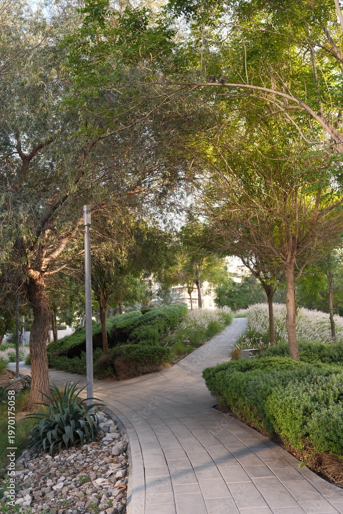 Fototapeta premium Wide angle view of curved footpath under dense tree canopy in landscaped urban park, green tunnel effect, city nature trail for tourism, wellness and environment editorial