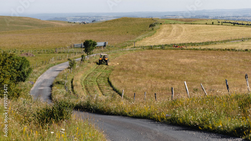 randonnée sur le plateau du Limon faisant le tour des Monts du Cantal en Auvergne en été