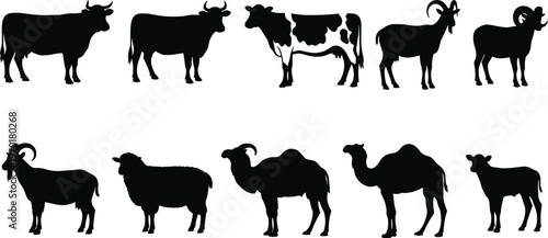 Silhouettes of farm animals including cattle goats sheep and camels arranged in rows livestock vector illustration concept for agriculture education design