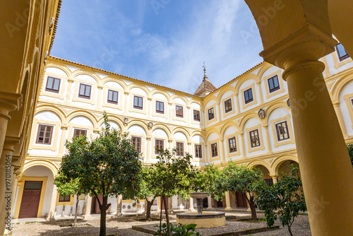 Patio Palais Cordoue Andalousie